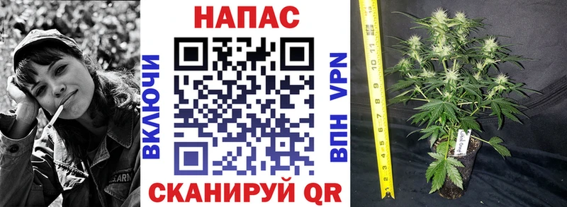 Магазин наркотиков Петушки ГЕРОИН  Гашиш  Канабис 