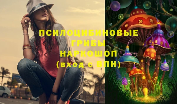 СК Мегион