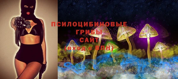 СК Мегион