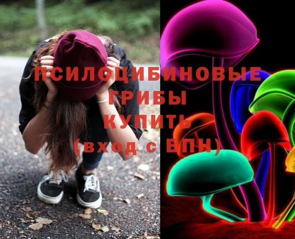 стафф Медногорск