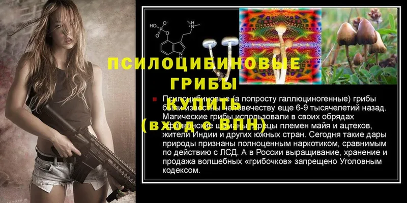 где найти наркотики  Петушки  darknet телеграм  Псилоцибиновые грибы MAGIC MUSHROOMS 